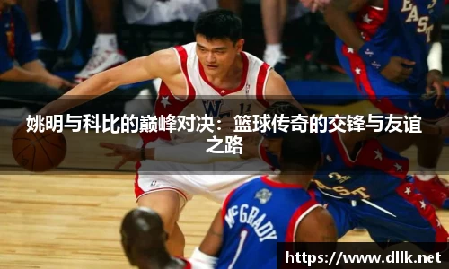 中欧体育