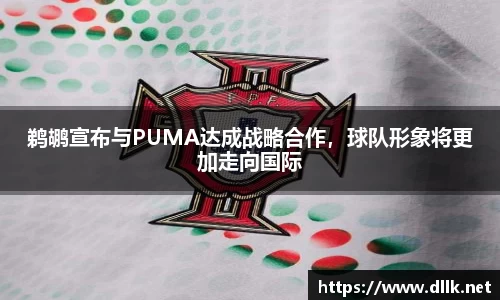中欧体育官方网站